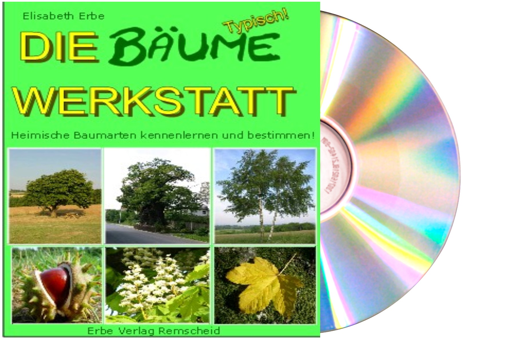 Bäume Werkstatt Grundschule Unterrichtsmaterial Arbeitsblätter Kopiervorlagen auf CD